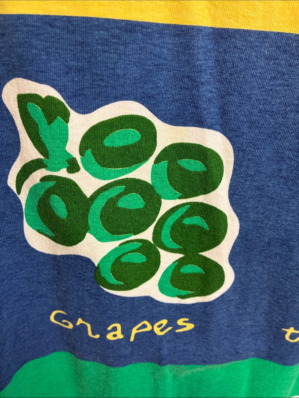 Vintage Summer Fruits Boutique Europa All Over Print AOP Colorful Shirt or Tee M - Picture 9 of 16
